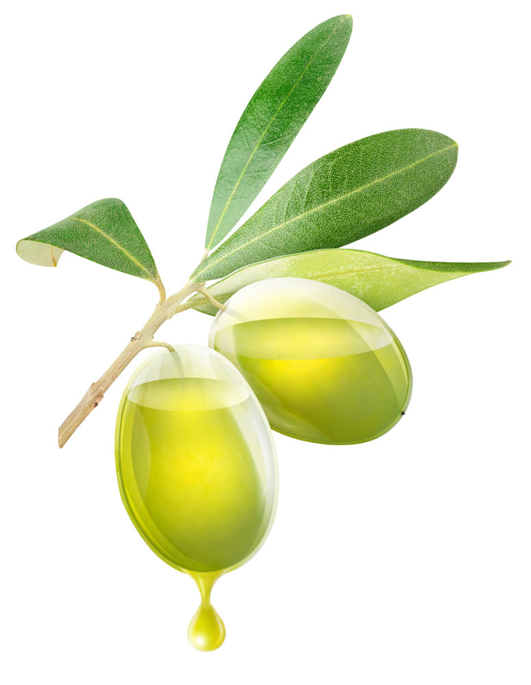 广东食用橄榄油