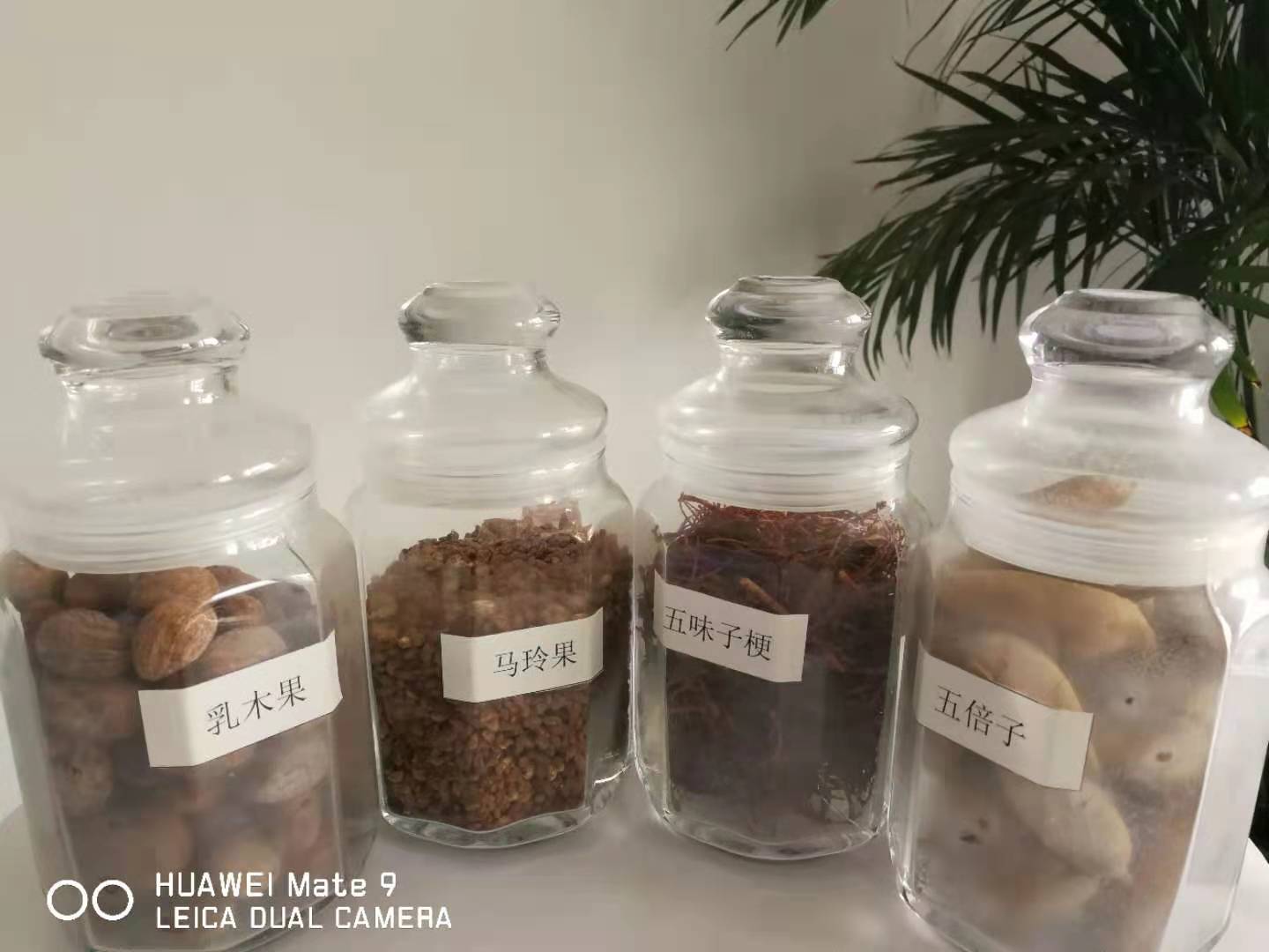 广东油茶籽油散油